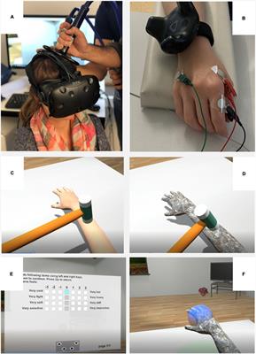 “Tricking the Brain” Using Immersive Virtual Reality: Modifying the Self-Perception Over Embodied Avatar Influences Motor Cortical Excitability and Action Initiation